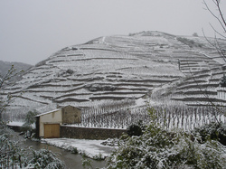 LES PAYSAGES DES GRANDS VINS