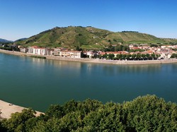 LES PAYSAGES DES GRANDS VINS