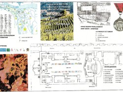 LES PAYSAGES DES GRANDS VINS